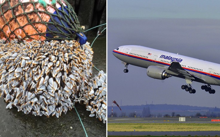 Manh mối tìm xác máy bay MH370 mất tích nhờ phương pháp mới