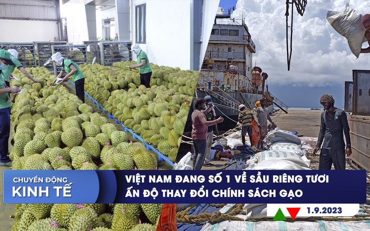 CHUYỂN ĐỘNG KINH TẾ ngày 1.9: Việt Nam đang số 1 về sầu riêng tươi | Ấn Độ thay đổi chính sách gạo