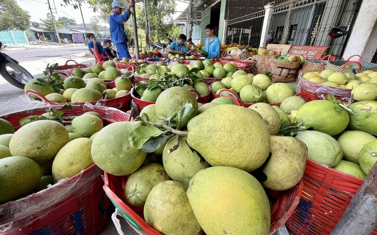 32 tỉnh, thành tham gia Festival Nông sản Việt Nam tại Vĩnh Long