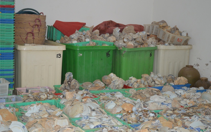 Cà Mau đề xuất Chính phủ xây nhà bảo tàng cho hiện vật đang cất trong kho Cà Mau đề xuất Chính phủ xây nhà bảo tàng cho hiện vật đang cất trong kho