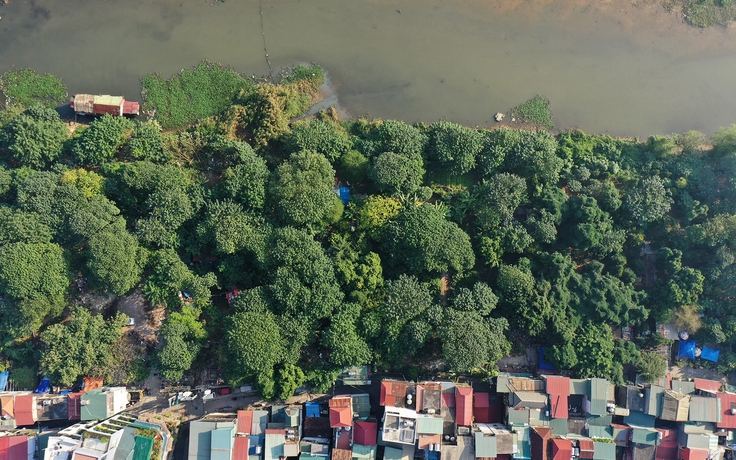 Công viên rừng trong thành phố