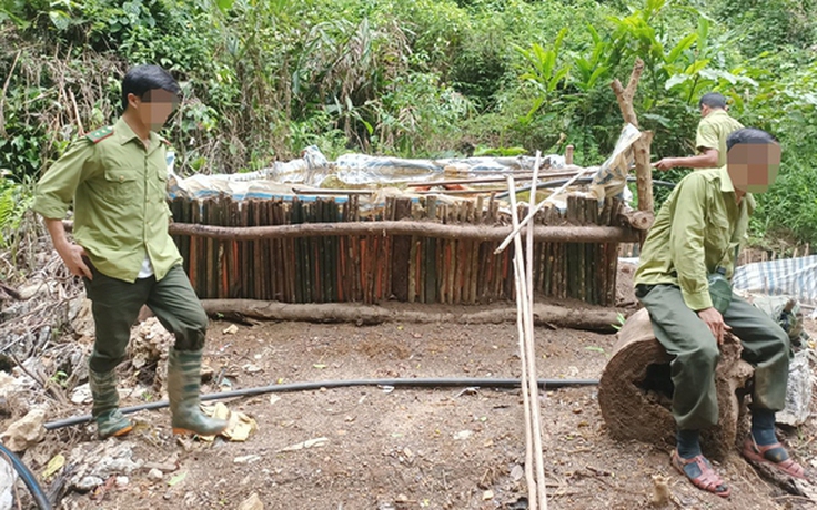 Tiếp tục phát hiện nạn đào vàng trái phép trong rừng đặc dụng Pù Luông