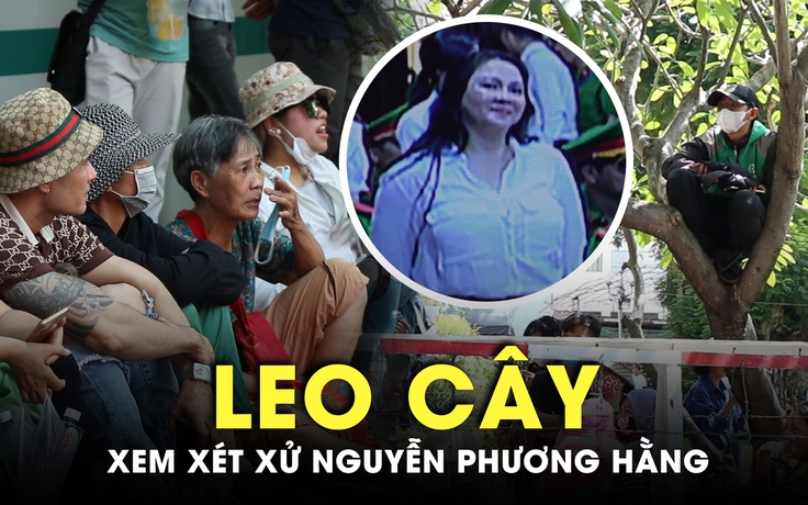 Vụ án Nguyễn Phương Hằng: Người hiếu kỳ leo cây công viên xem xét xử