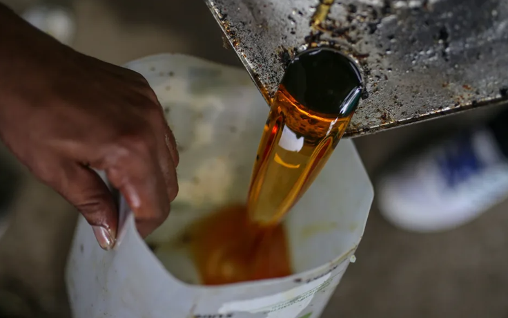 Xuất dầu ăn thừa cho Mỹ, Trung Quốc thu gần 390 triệu USD