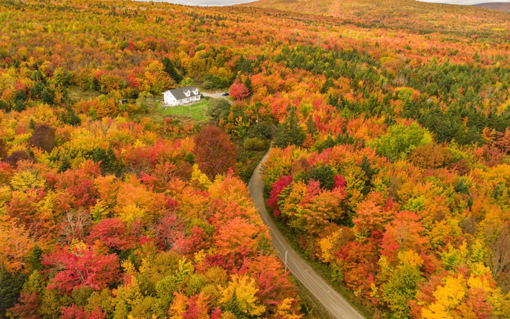 Khám phá mùa thu rực rỡ ở nơi hình thành nên đất nước Canada