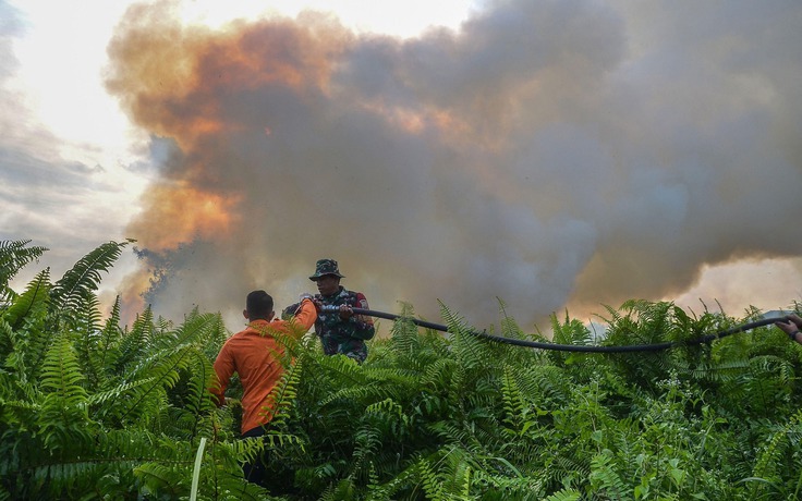 Khói mù ô nhiễm không khí, Malaysia trách cháy rừng Indonesia