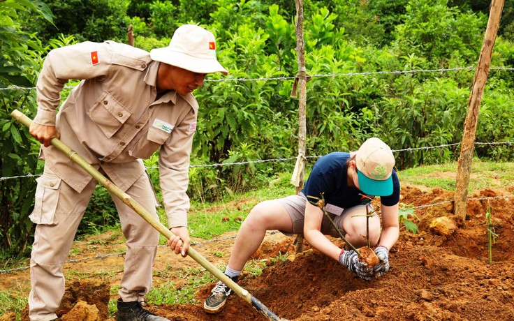 Bộ Ngoại giao Mỹ tài trợ dự án trồng cây vì môi trường tại Quảng Trị