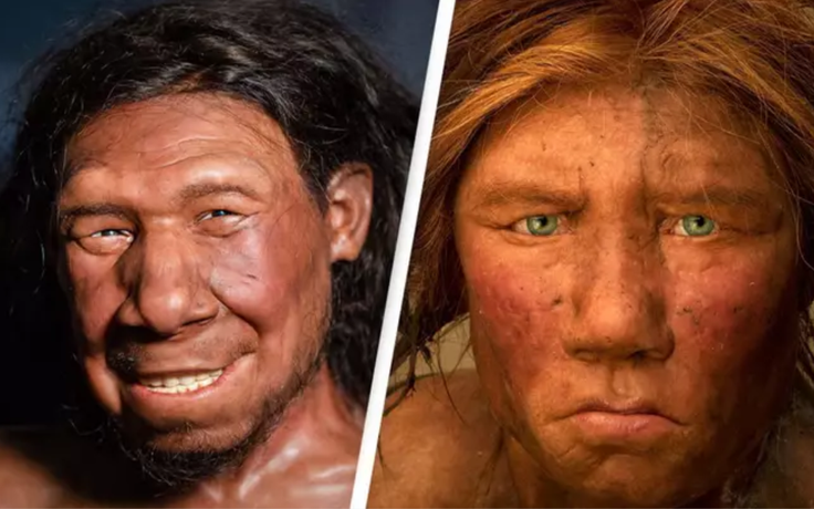 Liệu bạn có mang gien người Neanderthal đã tuyệt chủng?