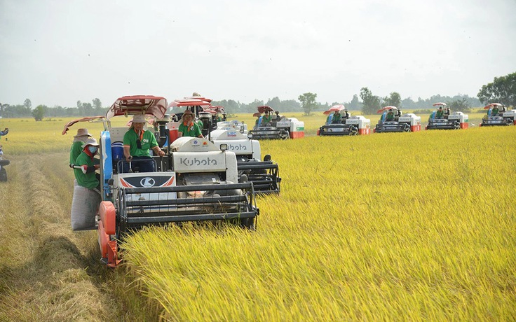 Nông nghiệp lập hàng loạt kỷ lục