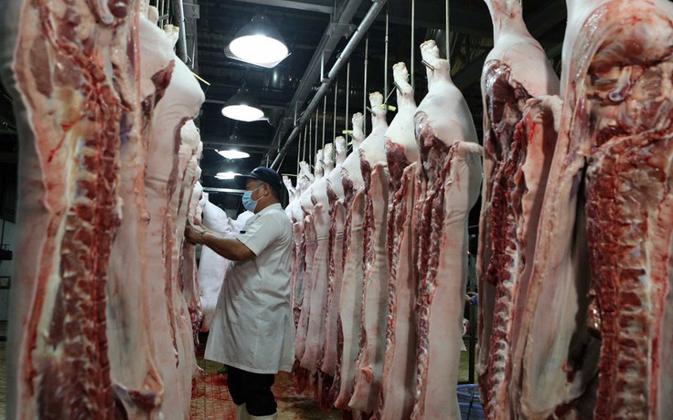 Xuất khẩu thịt heo bất ngờ tăng vọt, thịt gà chờ ngày sang Anh, Hàn Quốc
