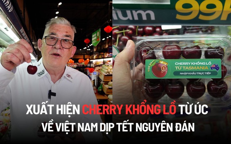 Xuất hiện cherry khổng lồ từ Úc về Việt Nam dịp Tết Nguyên đán