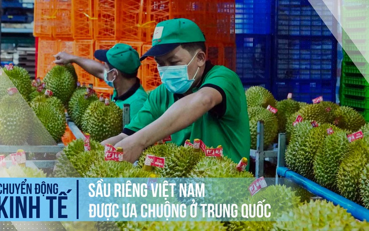 Sầu riêng Việt Nam được ưa chuộng ở Trung Quốc