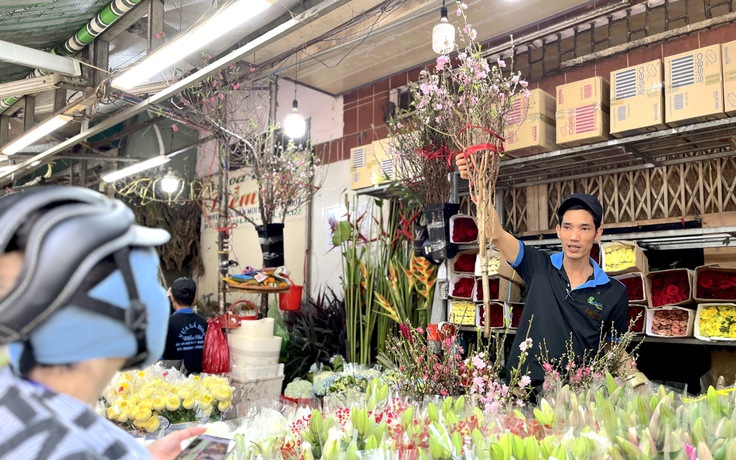 Hoa đào giá từ 120.000 đồng/cành, nhiều người mua về chưng tết sớm