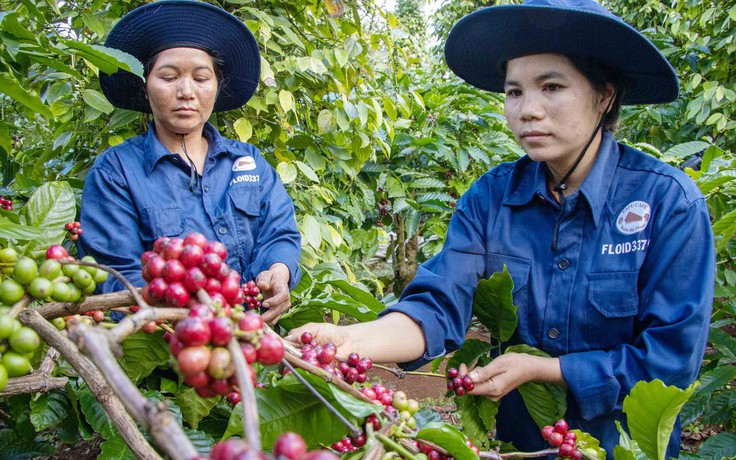 Nhiều ngành bứt tốc ngay từ đầu năm