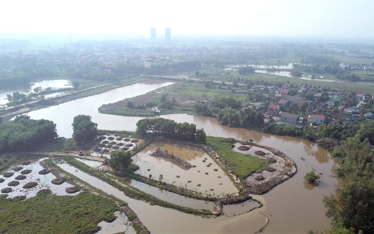 Gian nan bảo vệ chim trời