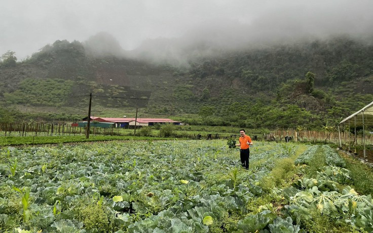 Giải quyết lo ngại mua sắm thực phẩm online với mô hình tiên tiến của Sendo Farm