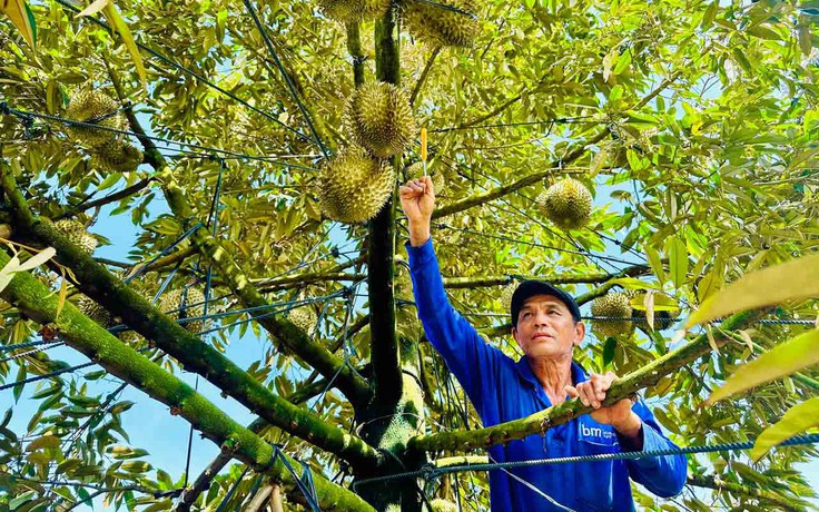 Từ nông dân thành tỉ phú