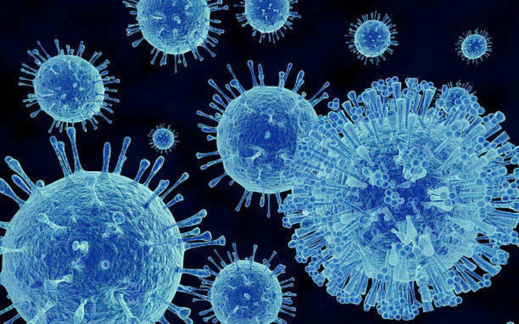 Dịch bệnh bùng phát trên tàu du lịch: Norovirus nguy hiểm thế nào?