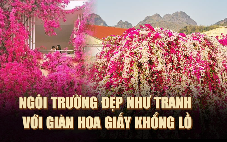 Trường mầm non đẹp như tranh với giàn hoa giấy khổng lồ: Sản phẩm của AI?