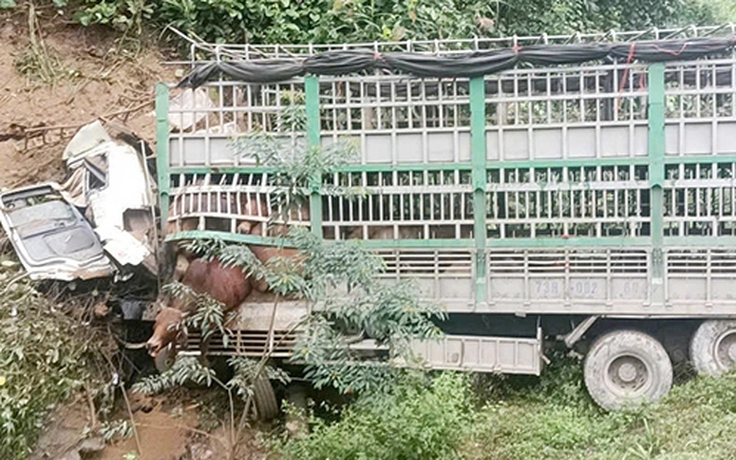 Quảng Bình: Xe tải chở bò mất lái lao vào vách núi, tài xế tử vong