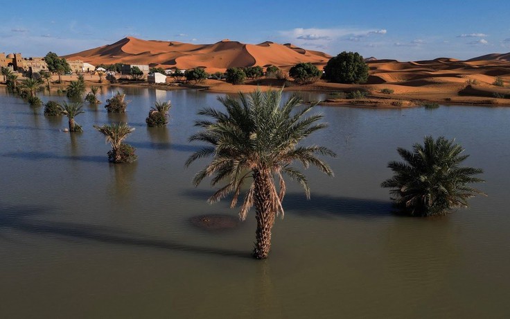 Sa mạc Sahara ngập lụt