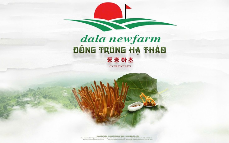 Dalat Newfarm - Tinh hoa đông trùng hạ thảo từ Đà Lạt