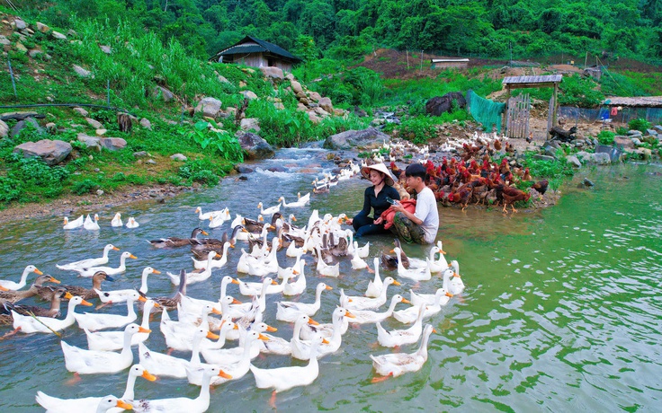 Vợ chồng trẻ làm nông có doanh thu trăm triệu đồng/tháng