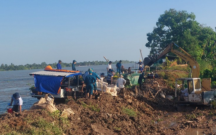 Vĩnh Long: Gia cố đoạn đê bao sông Cổ Chiên sạt lở, bảo vệ người dân cồn Thanh Long