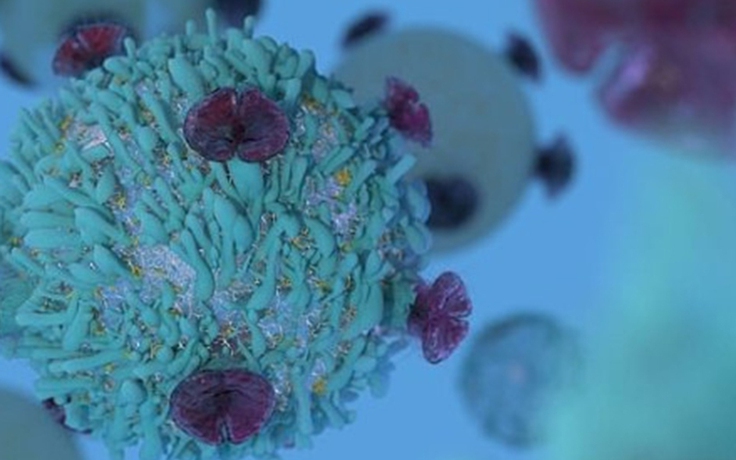 Phương pháp đột phá giúp tế bào T mạnh gấp 100 lần để chữa ung thư