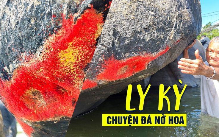 Ly kỳ chuyện đá ‘nở hoa’ ở Quảng Nam: Năm nào xuất hiện, năm đó khô hạn?