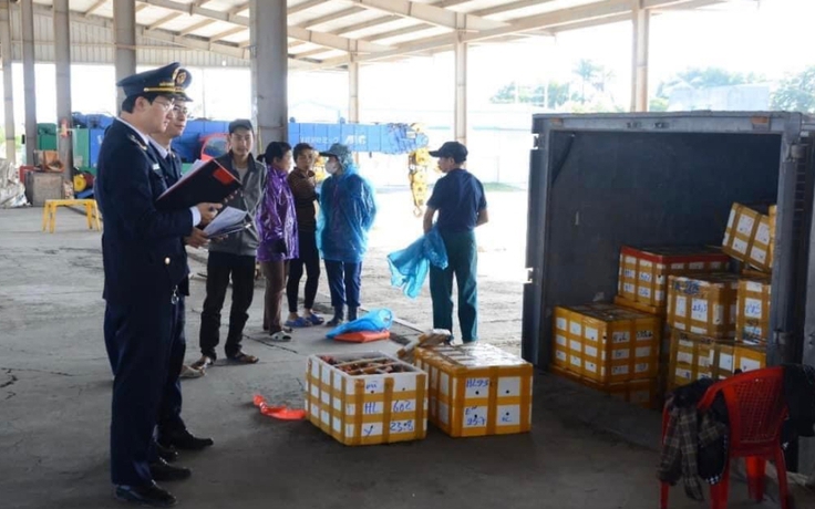 Gia tăng số vụ buôn lậu tại Quảng Ninh