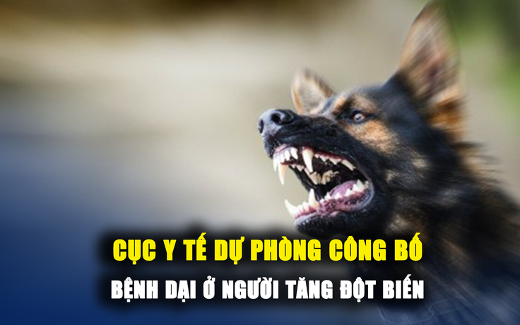 Cục Y tế dự phòng công bố bệnh dại ở người tăng đột biến