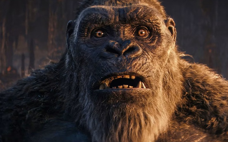'Godzilla x Kong: Đế chế mới': Bom tấn lấy kỹ xảo bù đắp nội dung
