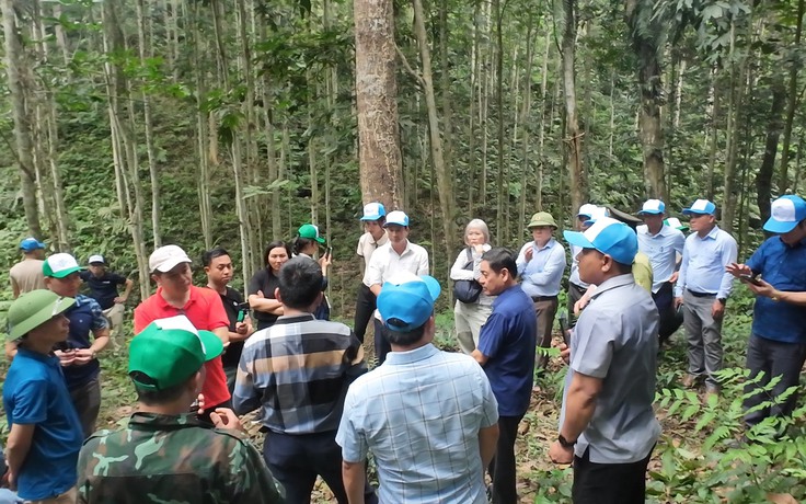 Quảng Bình khởi động 'Góp một cây để có rừng', phục hồi rừng đầu nguồn