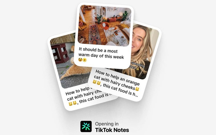 TikTok sắp ra mắt mạng xã hội hình ảnh TikTok Notes