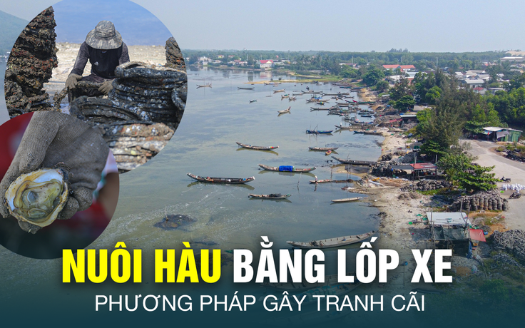 Thủ phủ nuôi hàu bằng lốp xe: Đơn giản, dễ nuôi nhưng gây nhiều lo ngại