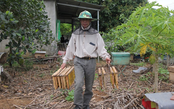 Mùa gom mật ngọt xứ Tuyên