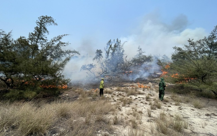 Cháy rừng phòng hộ ở Quảng Bình, hàng trăm người căng sức dập lửa