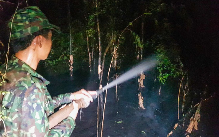 Kiên Giang: Vụ cháy rừng ở H.Giang Thành gây thiệt hại khoảng 371 ha