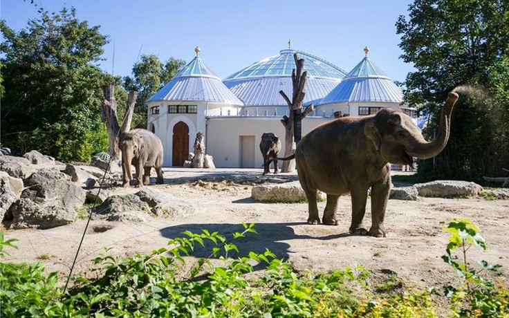 Tham quan các vườn thú được du khách yêu thích tại Đức