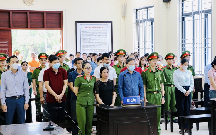 Cựu chánh thanh tra tỉnh và loạt cựu trưởng ban quản lý rừng lãnh án