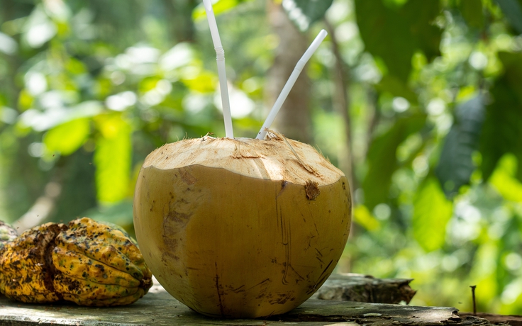 Phát hiện lợi ích bất ngờ của nước dừa liên quan đến ung thư