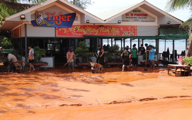 Sạt lở đồi cát ở Bình Thuận: Chuyên gia và nhà quản lý nói gì?
