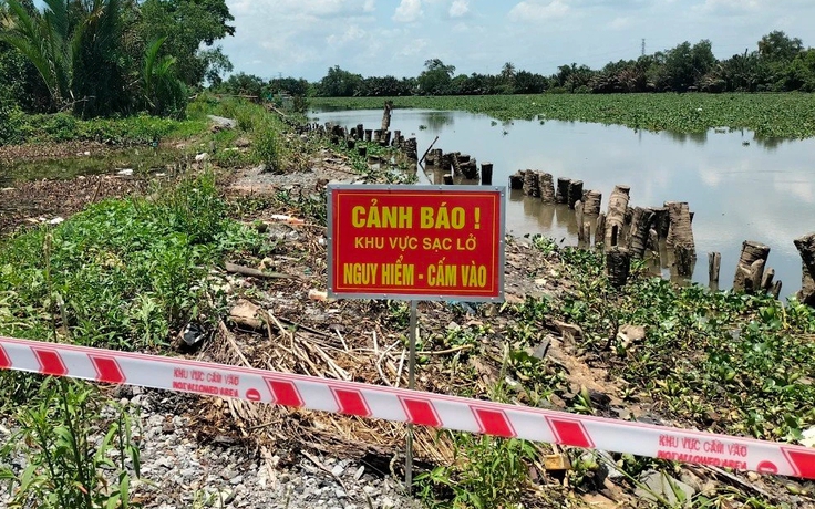 Long An: Sạt lở đê Vàm Cỏ Tây nhiều lần, đe dọa 1.700 ha đất sản xuất