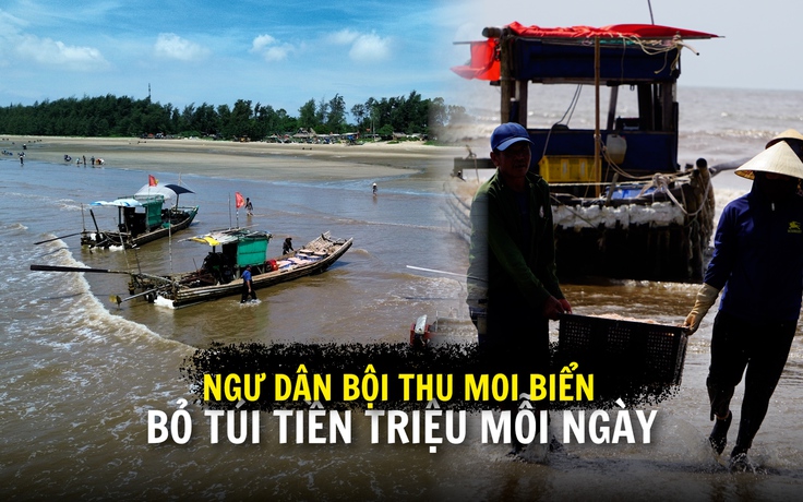 Chỉ trong buổi sáng kiếm tiền triệu, ngư dân rộn ràng vào mùa moi sớm