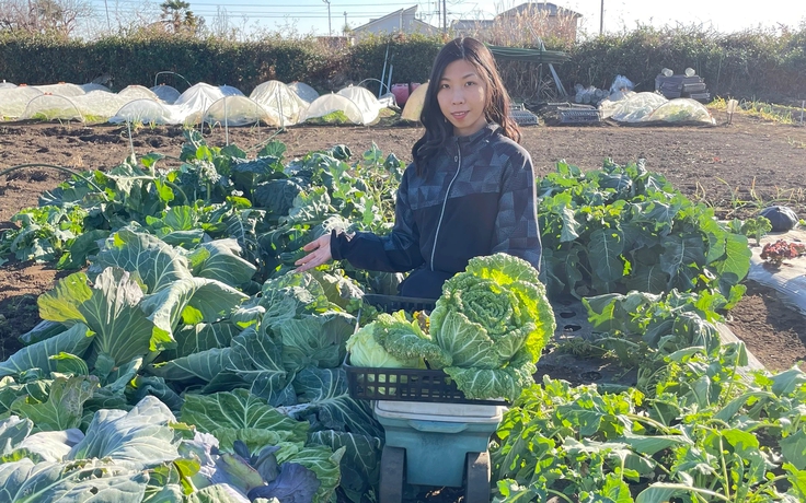 Lấy chồng tại Nhật Bản, cô gái trồng vườn rau xanh mướt như ở Việt Nam