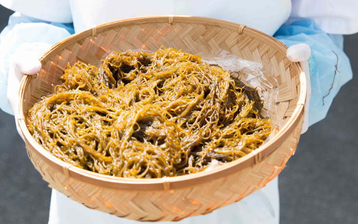 Lợi ích tuyệt vời của chất Fucoidan từ tảo nâu Okinawa đối với sức khỏe