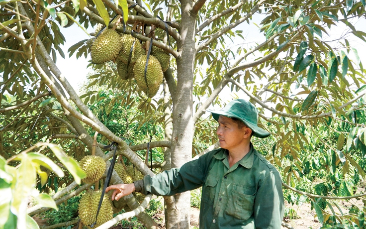 Điểm sáng xây dựng nông thôn mới ở Kon Rẫy