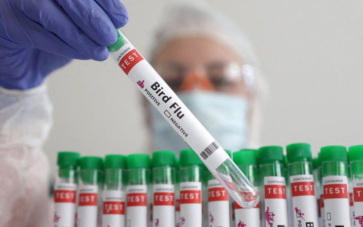 Ca tử vong đầu tiên trên thế giới vì cúm gà H5N2, chưa rõ nguồn lây