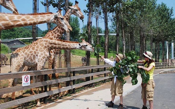 Các vườn thú và thủy cung nổi tiếng tại Trung Quốc